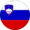 Словения (до21)