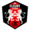 FC Fleury 91