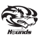 Pittsburgh Riverhounds SC