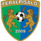 FeralpiSalo