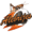 Алебрихс Оахаса