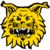 Ilves
