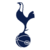 Tottenham Hotspur Academy