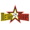 North Eastern Metro Stars