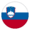 Словения (до19)