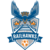 North Carolina FC