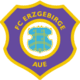 Erzgebirge Aue