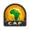 African Nations Championship