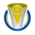 Серия D Бразилия