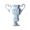 Swiss Cup