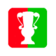 Hungarian Cup